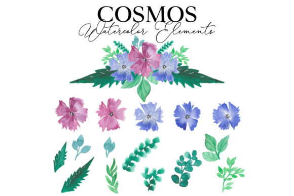 Cosmos Watercolor Package: Graphics & Web Elements for Local Branding