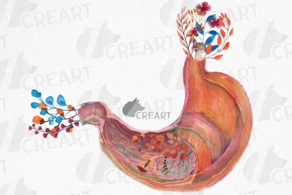 Floral Human Anatomical Stomach Design Graphics