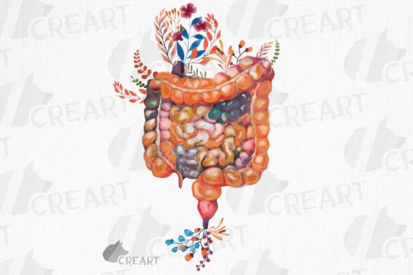 Human Anatomy Floral Intestine Decor Art: Graphics & Print Templates